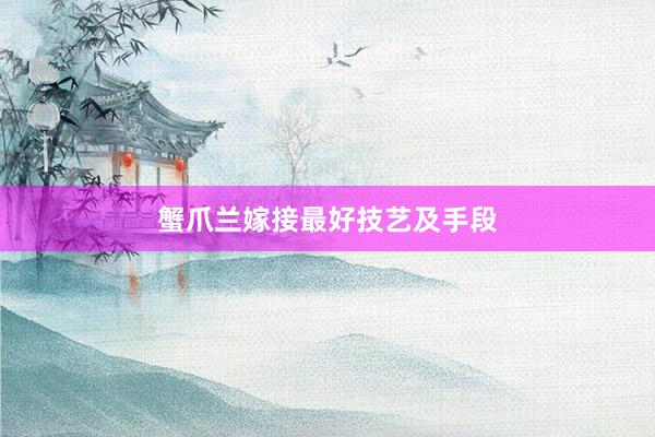 蟹爪兰嫁接最好技艺及手段